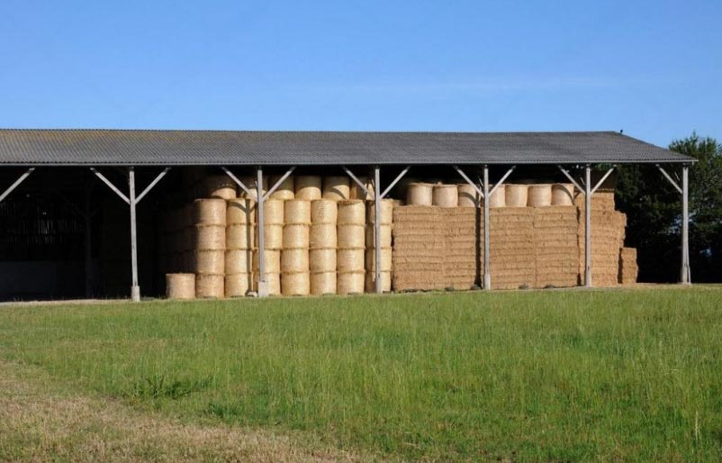 Galpones BIM // GALPONES AGRICOLAS